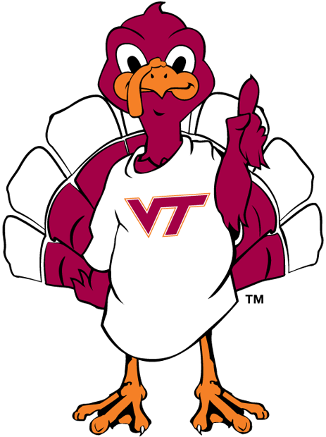 Virginia Tech Hokies 2000-Pres Mascot Logo t shirts DIY iron ons v3